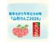 山形県産ふじりんご使用「山形りんご2026」