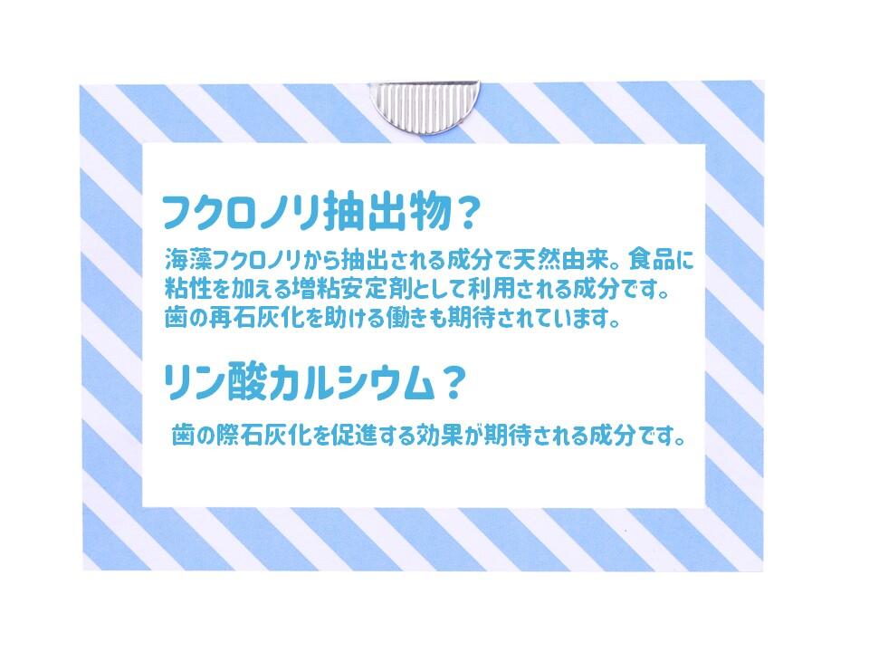 ガム成分説明.jpg